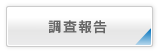調査報告